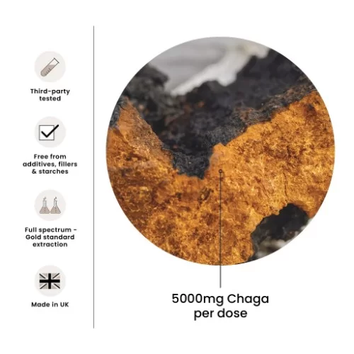 FungShui - High Strength Chaga Premium Mushroom Tincture Liquid Extract — image 6
