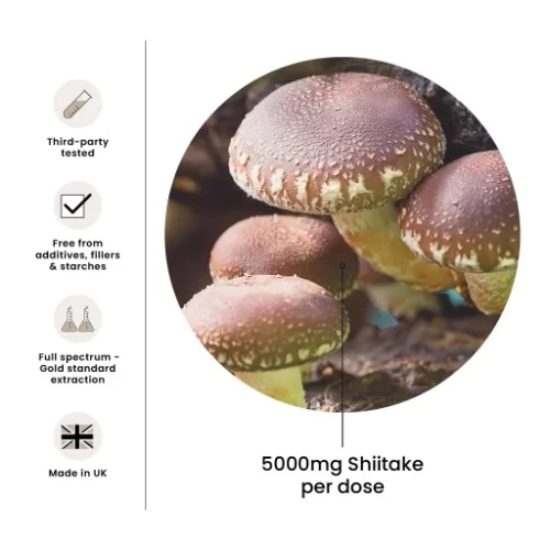  FungShui - High Strength Shiitake Premium Mushroom Tincture Liquid Extract — image 5