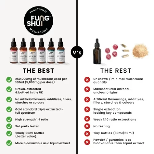 FungShui - High Strength Multi Mushroom Tincture Liquid Extract — image 6